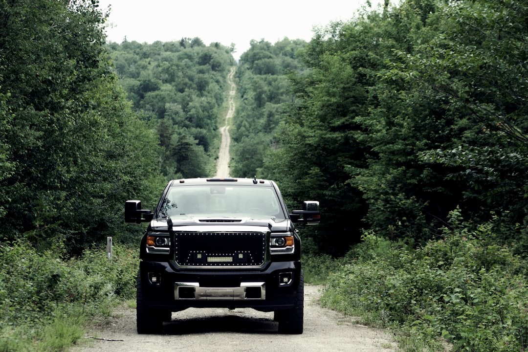 Unleashing Power: Ford F150 Tremor Review